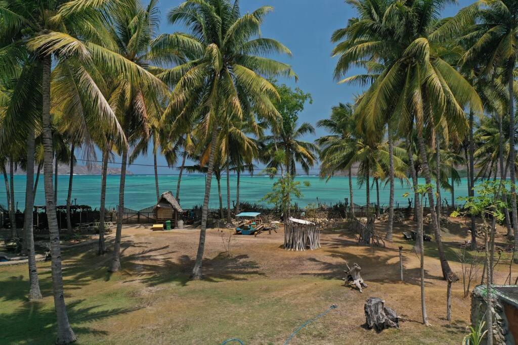 Beach-front Sumbawa Surf House