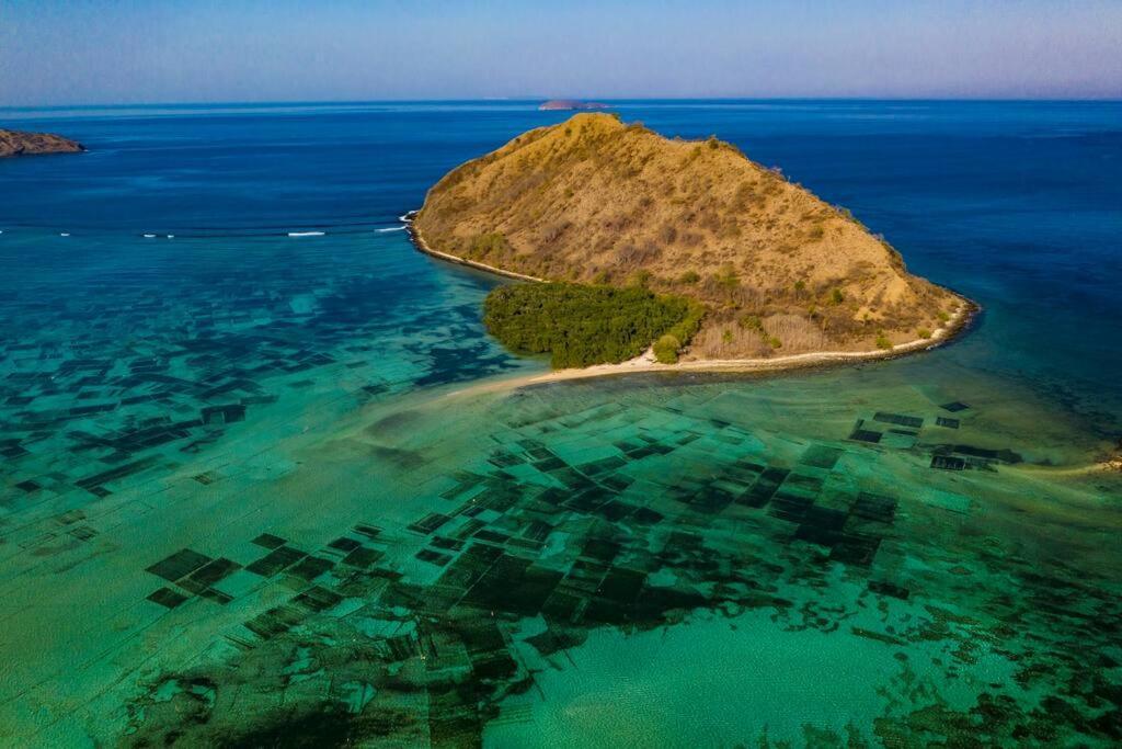 Beach-front Sumbawa Surf House Lemonga