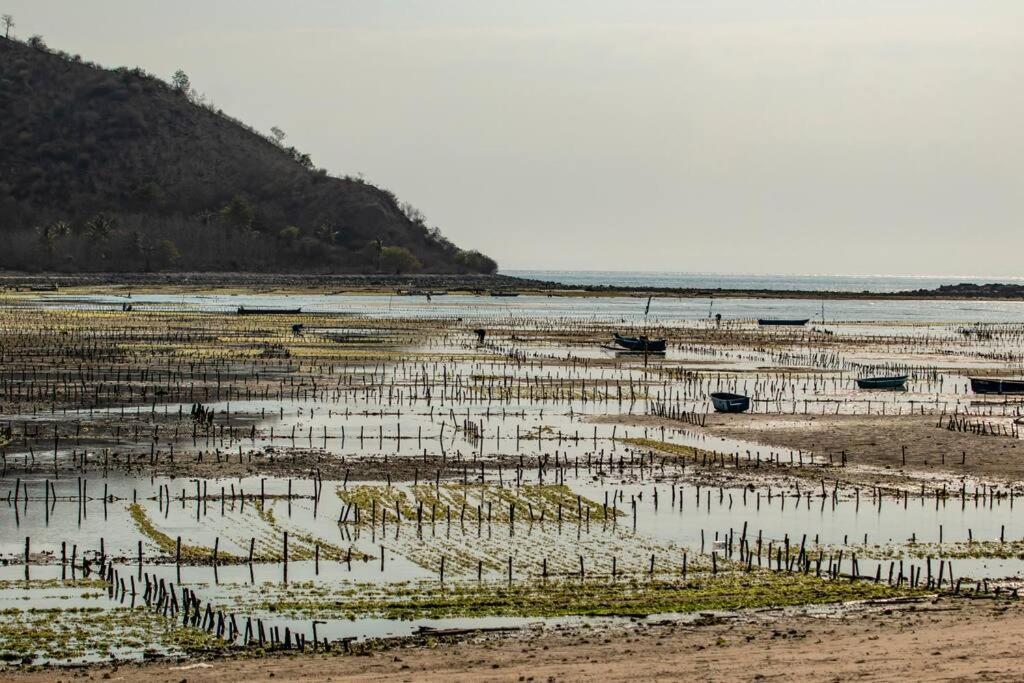 Beach-front Sumbawa Surf House *
